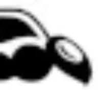 Logo of hornetsecurity.com