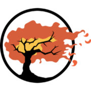 Logo of terashare.net